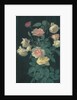 Roses, 1878 by George Cochran Lambdin