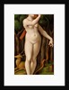 Diana the Huntress by Giovanni Pietro Rizzoli