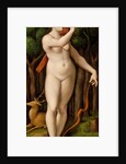 Diana the Huntress by Giovanni Pietro Rizzoli