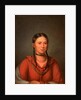 Hayne Hudjihini, Eagle of Delight, 1832-33 by Henry Inman