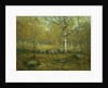 Spring Woods, ca. 1895-1900 by Henry Ward Ranger