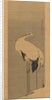 Two Cranes, 1795 by Ito Jakuchu