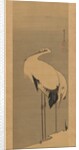 Two Cranes, 1795 by Ito Jakuchu