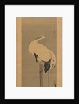 Two Cranes, 1795 by Ito Jakuchu