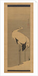 Two Cranes, 1795 by Ito Jakuchu