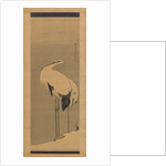 Two Cranes, 1795 by Ito Jakuchu