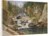 On the Ausable, 1869 by James David Smillie