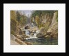 On the Ausable, 1869 by James David Smillie