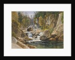 On the Ausable, 1869 by James David Smillie