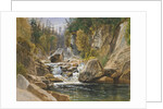On the Ausable, 1869 by James David Smillie