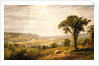 Wyoming Valley, Pennsylvania, 1864 by Jasper Francis Cropsey
