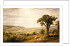 Wyoming Valley, Pennsylvania, 1864 by Jasper Francis Cropsey