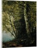 Study of Beeches, 1872 by John Frederick Kensett