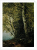 Study of Beeches, 1872 by John Frederick Kensett