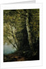 Study of Beeches, 1872 by John Frederick Kensett