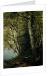 Study of Beeches, 1872 by John Frederick Kensett