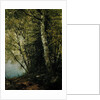 Study of Beeches, 1872 by John Frederick Kensett