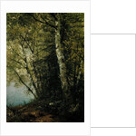 Study of Beeches, 1872 by John Frederick Kensett