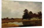October in the Marshes, 1872 by John Frederick Kensett
