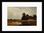 October in the Marshes, 1872 by John Frederick Kensett