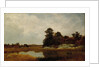 October in the Marshes, 1872 by John Frederick Kensett