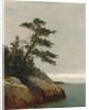 The Old Pine, Darien, Connecticut, 1872 by John Frederick Kensett