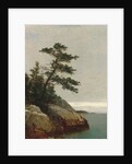 The Old Pine, Darien, Connecticut, 1872 by John Frederick Kensett