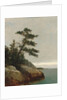 The Old Pine, Darien, Connecticut, 1872 by John Frederick Kensett