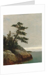 The Old Pine, Darien, Connecticut, 1872 by John Frederick Kensett