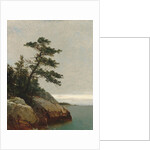 The Old Pine, Darien, Connecticut, 1872 by John Frederick Kensett