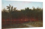 Twilight in the Cedars at Darien, Connecticut, 1872 by John Frederick Kensett