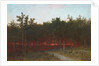 Twilight in the Cedars at Darien, Connecticut, 1872 by John Frederick Kensett