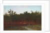 Twilight in the Cedars at Darien, Connecticut, 1872 by John Frederick Kensett