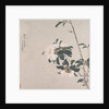Insects and Flowers by Ju Lian