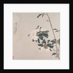 Insects and Flowers by Ju Lian