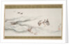 Wild Geese and Water, 1839 by Hokusai