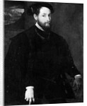 Portrait of a Man by Lambert Sustris