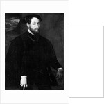 Portrait of a Man by Lambert Sustris
