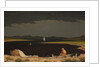 Approaching Thunder Storm, 1859 by Martin Johnson Heade