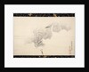 White Herons, 1769 by Maruyama Okyo