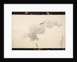 White Herons, 1769 by Maruyama Okyo