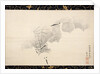 White Herons, 1769 by Maruyama Okyo