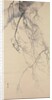 Cherry Blossoms, 18th century by Go Shun
