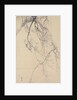 Cherry Blossoms, 18th century by Go Shun