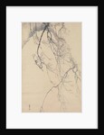Cherry Blossoms, 18th century by Go Shun