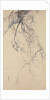 Cherry Blossoms, 18th century by Go Shun