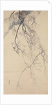 Cherry Blossoms, 18th century by Go Shun