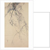 Cherry Blossoms, 18th century by Go Shun