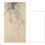 Cherry Blossoms, 18th century by Go Shun