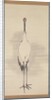 Cranes, 1780s by Nagasawa Rosetsu